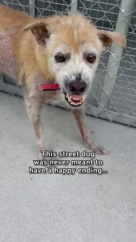 Xwh9CqjlPnBsEQ3 .jpg