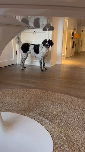 LVlqi6XGYspTs aV.jpg