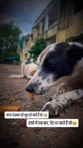 zHE2 k8gwrfB01Fe.jpg