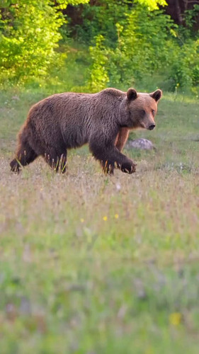 C5 1M 3pGJsin1je.jpg