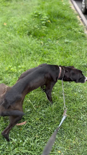 bycR2gWMU495lnn .jpg