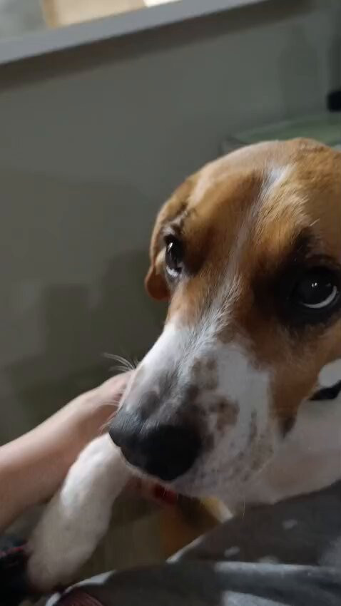 wiMx0uN PDiNugiv.jpg