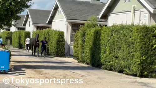 ugrxoyutzv0V 67a.jpg