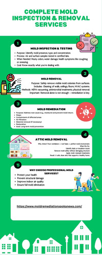 Complete Mold Inspection & Removal Services.jpg