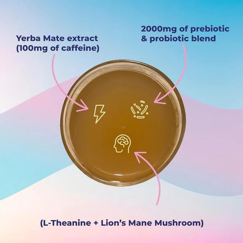 Yerba Mate Powder for Instant Refreshment Brew Bloom Store Exclusive.jpg