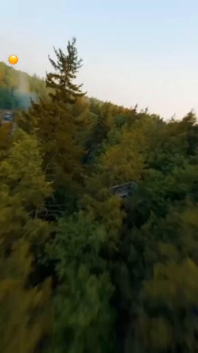063l9yVQ0oDcdvV5.jpg