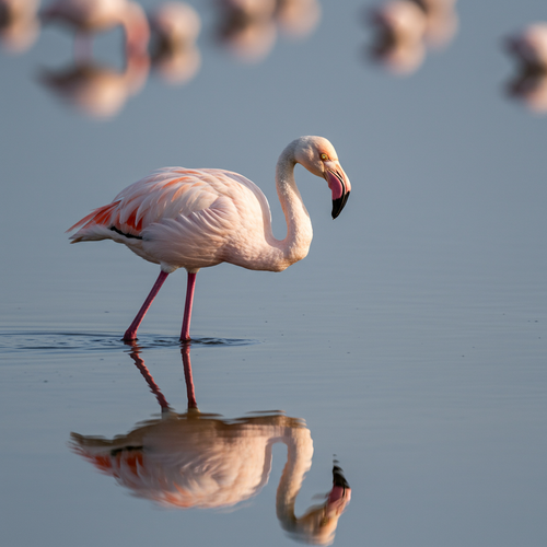 prompt image 2 1024x768.png