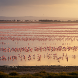 prompt image 1 1024x1024