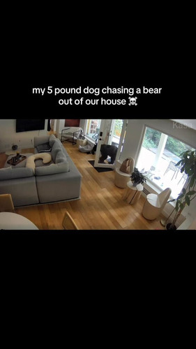 ydP RZ8hRCCwn GY.jpg