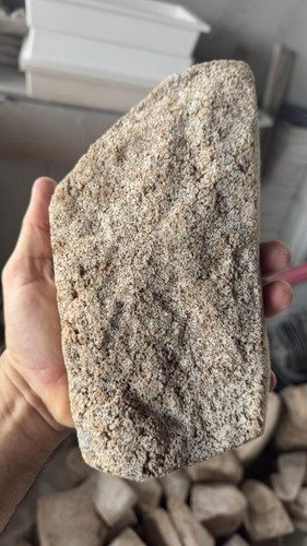 WhatsApp Image 2025 08 07 at 12.18.24.jpg