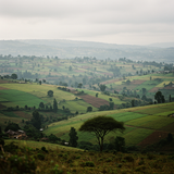 prompt image 2 1024x768