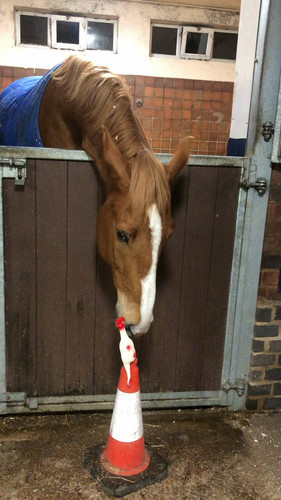 5Xb J2GuSTYXsabl.jpg