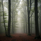 prompt image 5 1152x896