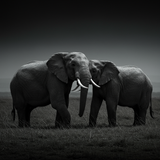 prompt image 6 1152x1152