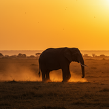 prompt image 1 1024x1024