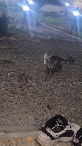 I SXhZJulW1y5cxe.jpg