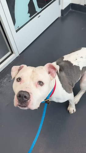 1eeGY hffSsci8bl.jpg