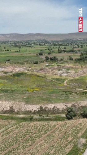 nzS 5mx4GTiu3s b.jpg