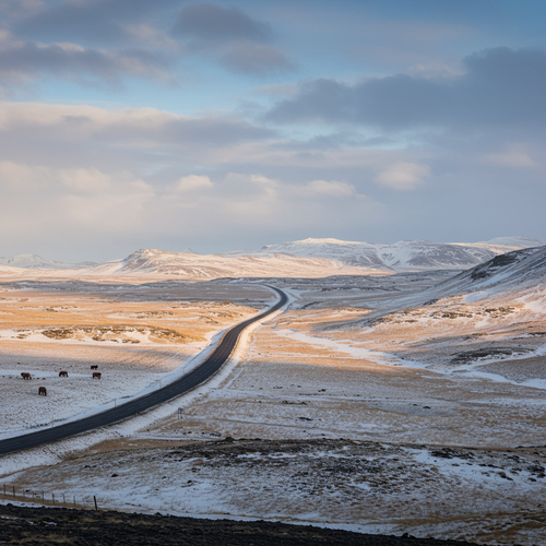 prompt image 6 1152x1152.png