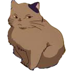 cat1