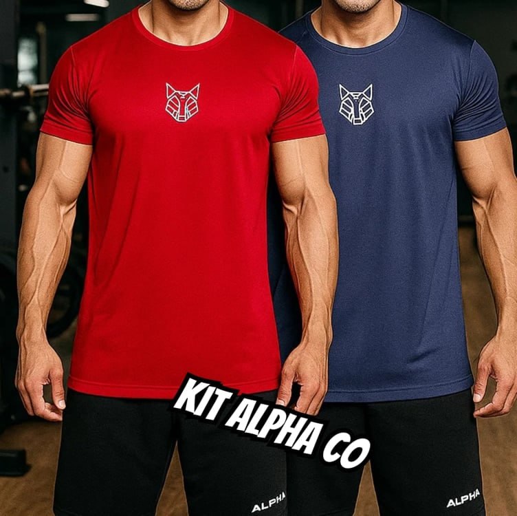 Kit 2 Camisetas Masculina Dry Alpha Co