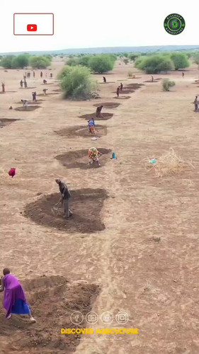 juWAJvSLULhR o3r.jpg