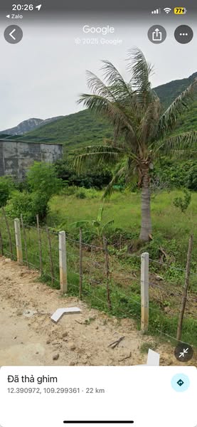 528749782 2571781592996822 1611158360809637018 n.jpg