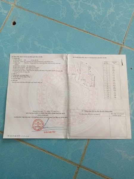 528809828 2571781566330158 7784657538702034834 n.jpg