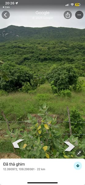 529968340 2571781622996819 3436449736949722160 n.jpg