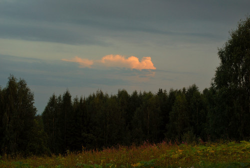 DSC 0051a1.jpg