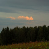 DSC 0051a1