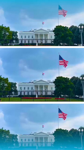 OllMyhLhYt11MQ y.jpg