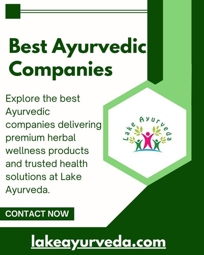 Best Ayurvedic Companies in India—Explore Top Herbal Health Brands.jpg