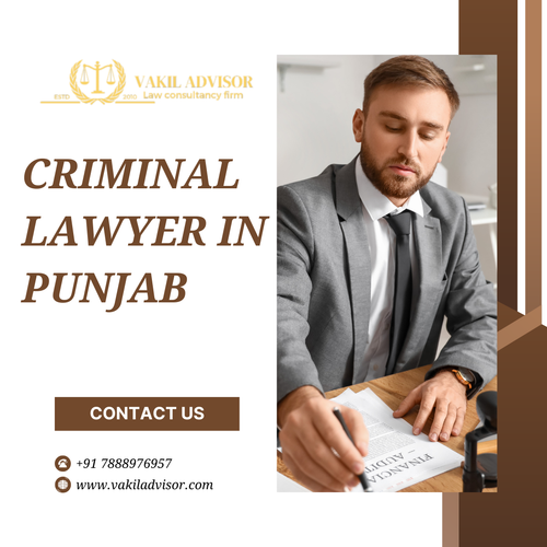 Criminal Lawyer in Punjab.png