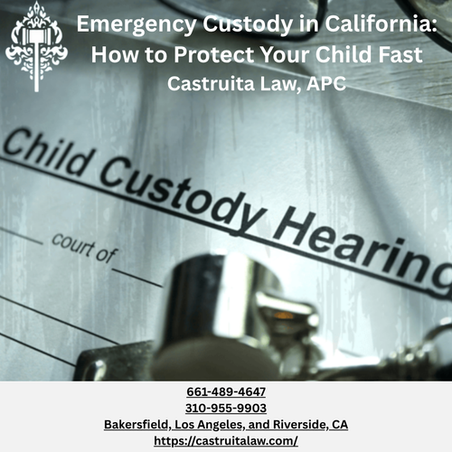 Evidence You Need for Emergency Custody in California.png