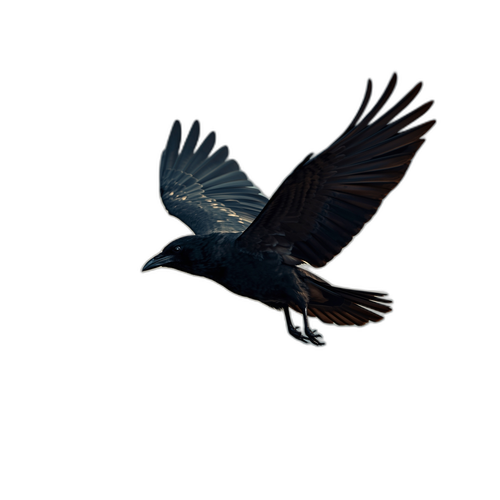 A4.png