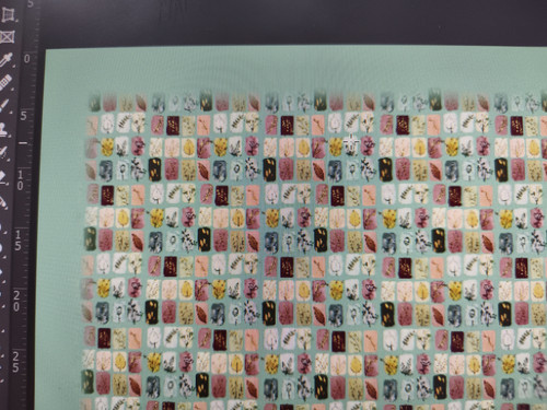 5c8c4966 01f8 44b1 b8e4 33c07399883e614277895815423673.jpg