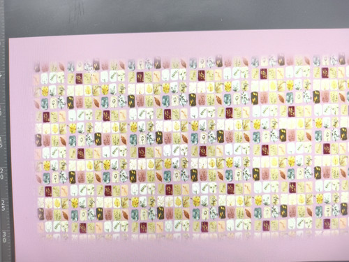 dac2e262 fa47 4e01 95b3 bc0eb001d1a25111216862371044815.jpg