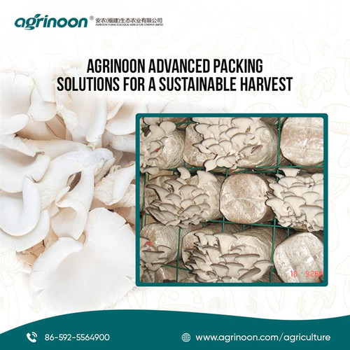 Better Harvest Deserves Smarter Packing.jpg