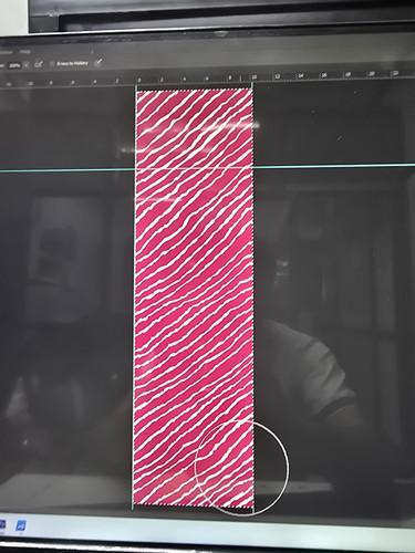 37f7739c 5351 40b3 a0c5 6fed9471d5073067821653124859705.jpg