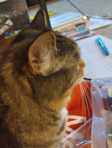 IMG 20250808 064458191.jpg