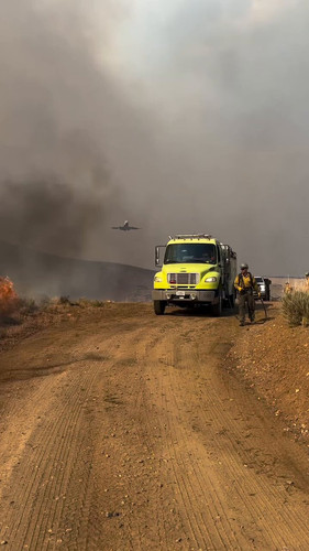 5SQJ9CCrXizViN W.jpg