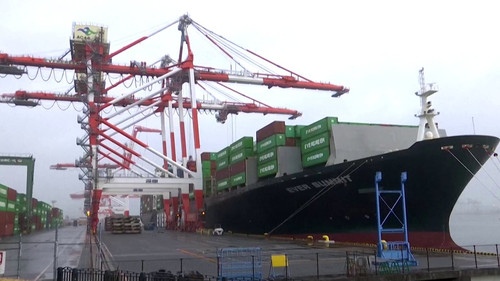 yvJN WDorgU3juJM.jpg