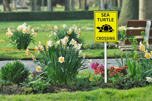 sea turle crossing 126.png