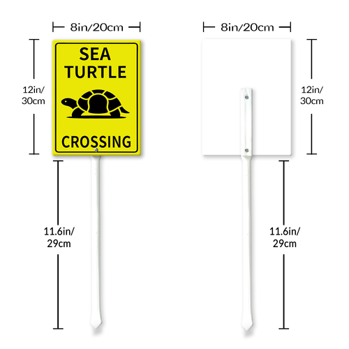 sea turle crossing 20.png