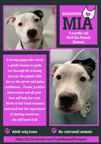 GqloBSjXkAAjo8 ?format=jpg.jpg