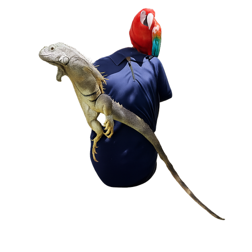 873cebc7 1009 42ac 9b51 da1be1ba651f.png