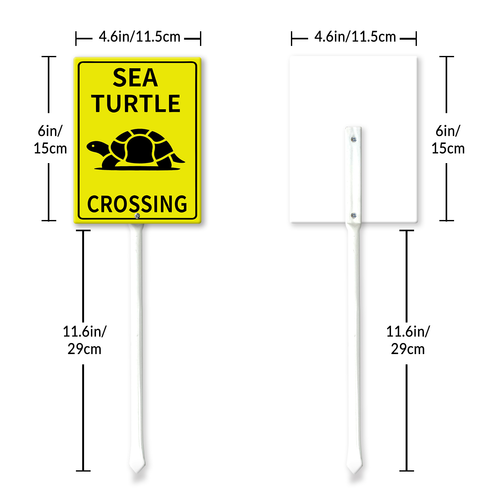 sea turle crossing 11.png