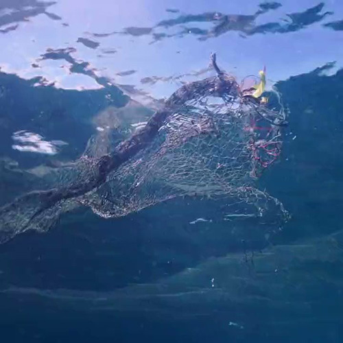 x pUXy8vPfhcCdA0.jpg