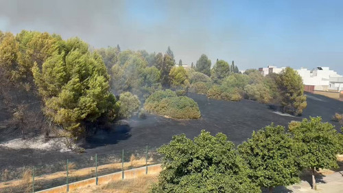 6lQIH eImZHmxgLr.jpg